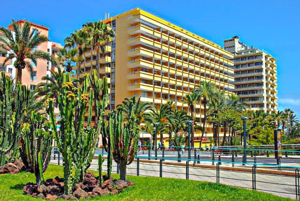 Estudio Para Dos En Martianez Puerto de la Cruz  Exteriör bild