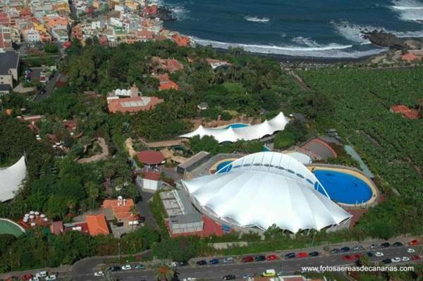 Estudio Para Dos En Martianez Puerto de la Cruz  Exteriör bild